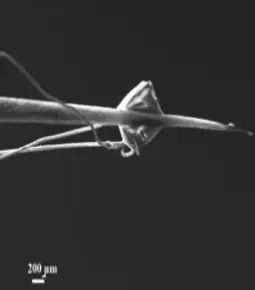 Nanoactuator at the tip of the W needle and heating element