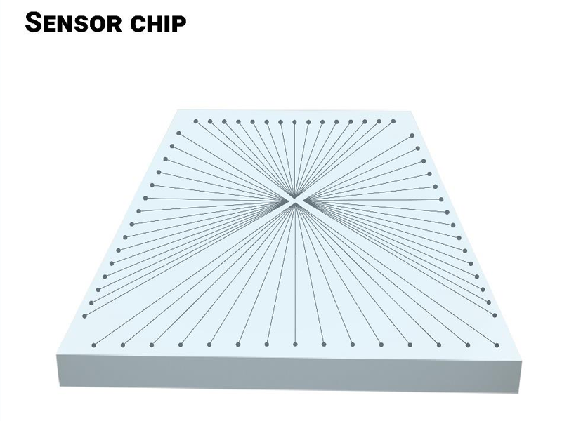 Schematic illustration of the sensor chip  consisting of many bio-sensors